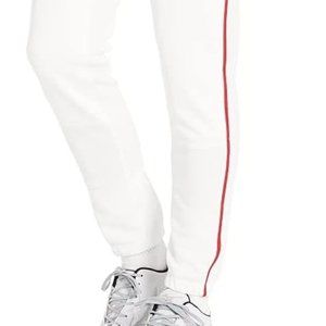 Mizuno Adult Men's Premier Piped Baseball Pant